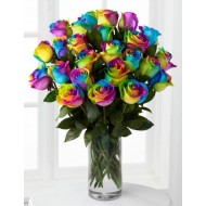 Twenty Rainbow Rose in Vase