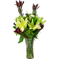 Radiance in Bloom Stargazer Lily Vase Arrangement