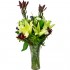 Radiance in Bloom Stargazer Lily Vase Arrangement