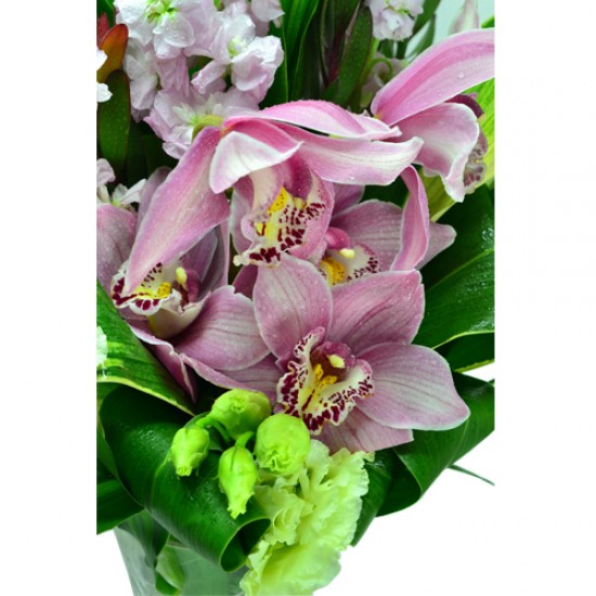 Exquisite Harmony Holland Cymbidium Vase Arrangement