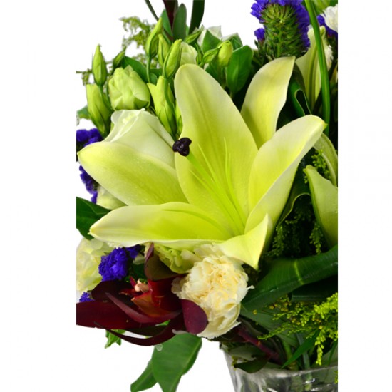 Radiance in Bloom Stargazer Lily Vase Arrangement